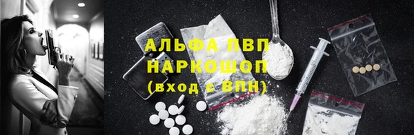 шишки Вяземский