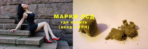 шишки Вяземский