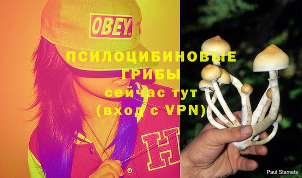 сатива Вязники