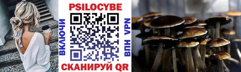 Галлюциногенные грибы прущие грибы  Каспийск 